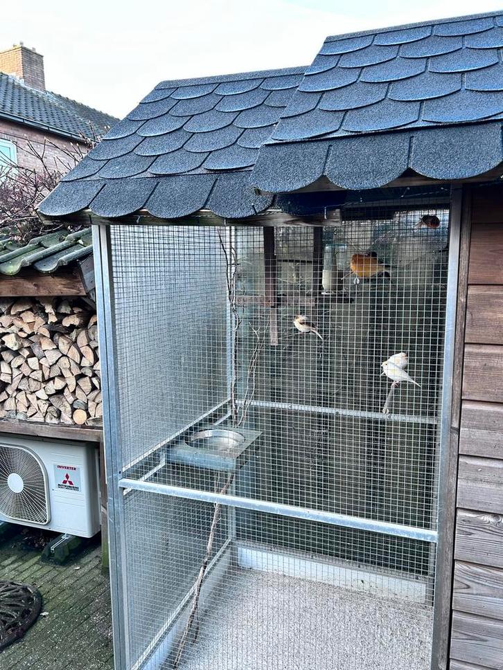 Voliere, Dieren en Toebehoren, Vogels | Hokken en Kooien, Gebruikt, Volière, Metaal, Ophalen of Verzenden