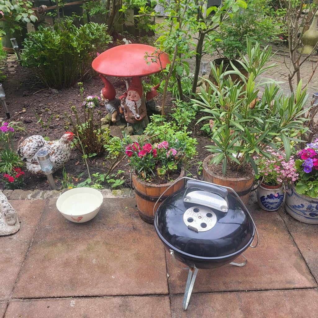 Tafel Barbecue. Weber., Ophalen of Verzenden