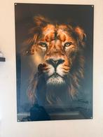 Plexiglas Muurdecoratie Leeuw 100x150 Wallfield, Ophalen, Zo goed als nieuw
