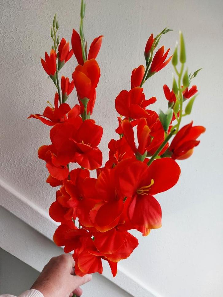 Gladiolen kunst bosje rode  nieuw  Nijmeegse Vierdaagse, Huis en Inrichting, Woonaccessoires | Kunstplanten en Kunstbloemen, Nieuw