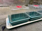 Garland G50 Trio Top Propagator - Kweekbak voor planten, Ophalen, Gebruikt, Kweekbak