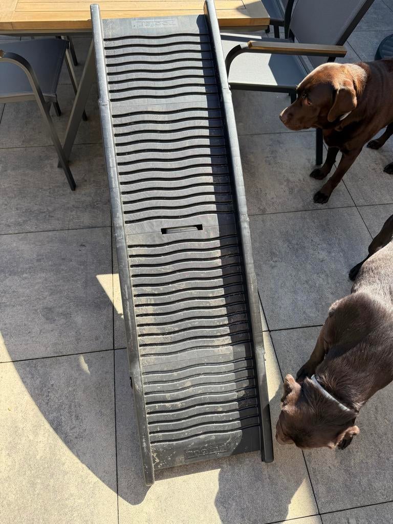 Loopplank inklapbaar voor honden, Ophalen, Zo goed als nieuw