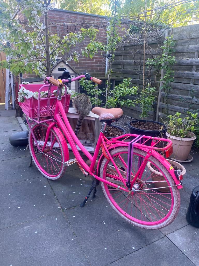 Opnkapper 26 inch, Terugtraprem, Gebruikt, Versnellingen, Ophalen