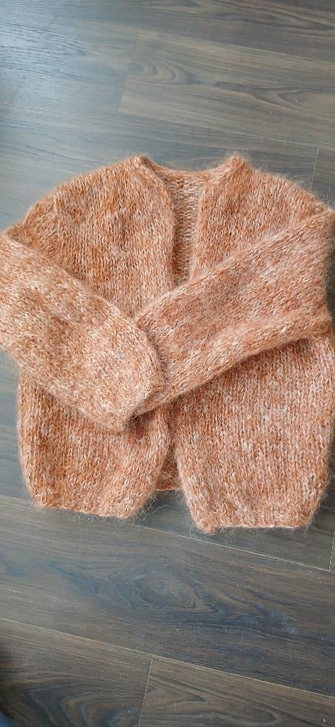 vest handgebreid maat 42-44, Kleding | Dames, Truien en Vesten, Ophalen, Bruin, Maat 42/44 (L), Nieuw