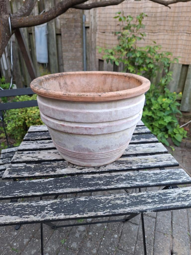 Grote terra cotta buitenpot, Ophalen