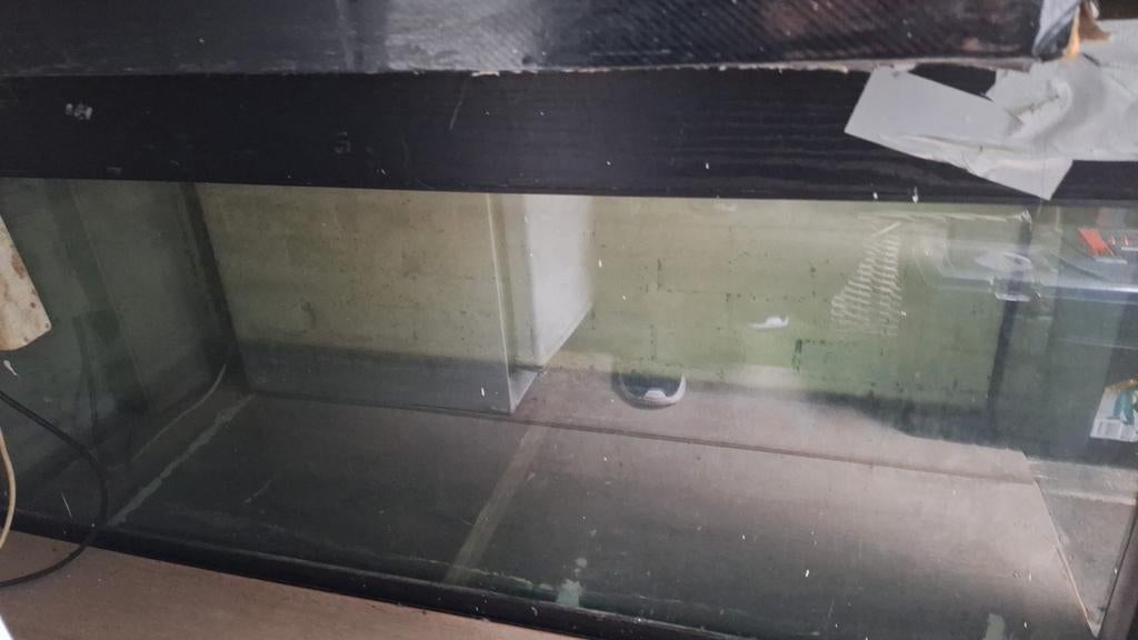 Aquariums en terarium, Ophalen, Leeg aquarium