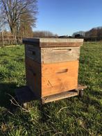 Dadant Blatt bijenkast (Europese standaard), Bijen