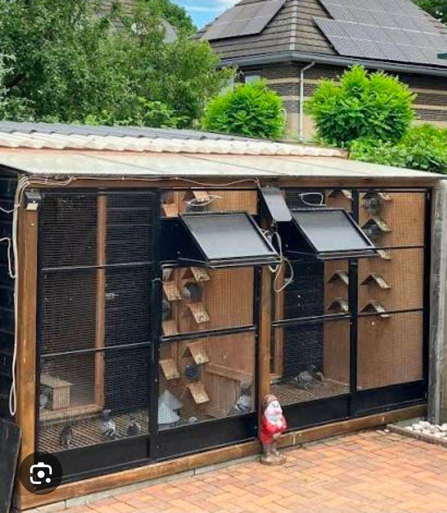 Gezocht Martin van Zon duivenhok, Tuin en Terras, Ophalen of Verzenden