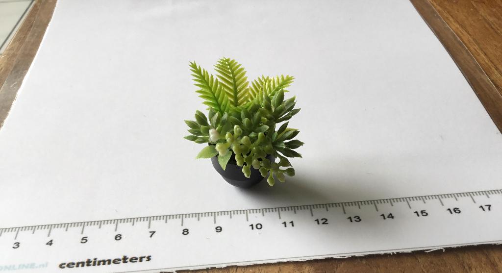 Poppenhuis miniaturen planten, Verzamelen, Ophalen of Verzenden, Nieuw, Poppenhuis