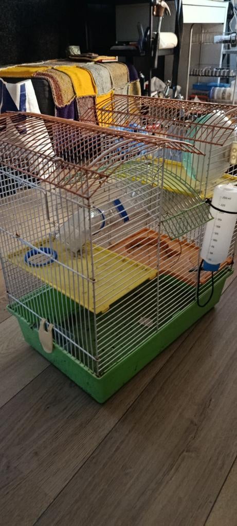 Hamsterkooi, Kooi, Gebruikt, Minder dan 75 cm, Ophalen