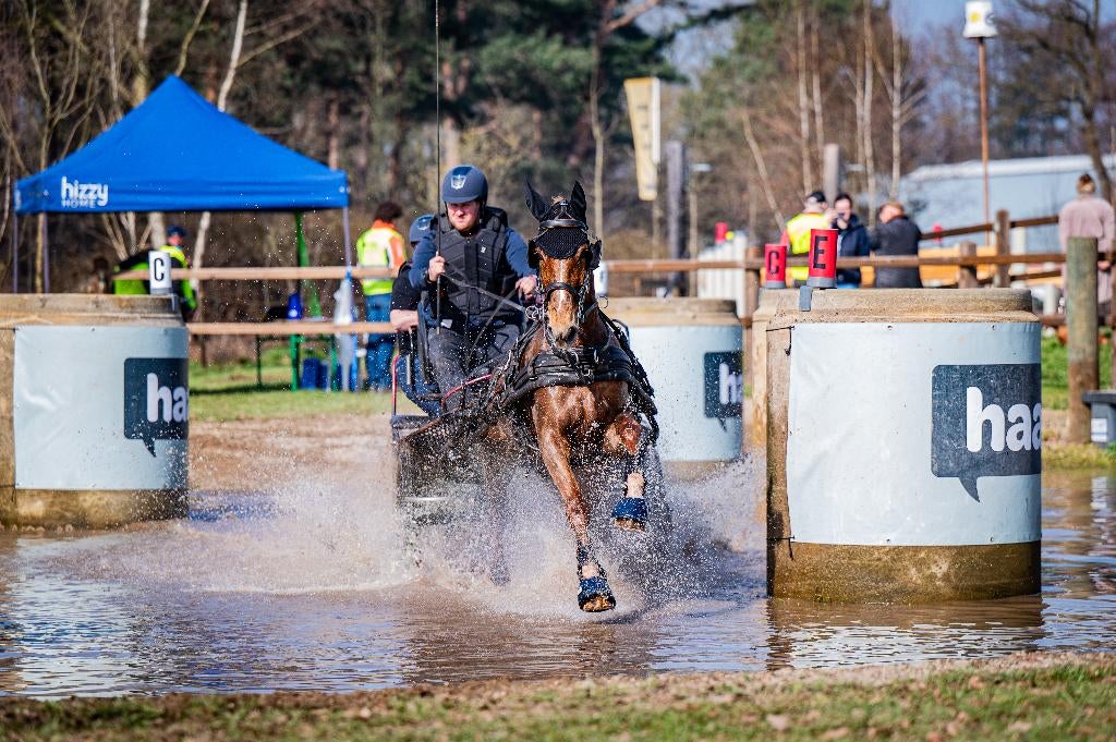 Leuk men/rij paard te koop, Dieren en Toebehoren, Paarden, Met stamboom, Dressuurpaard, L, 7 tot 10 jaar