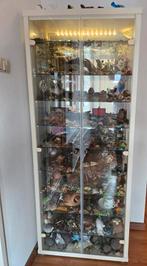 Schildpadden zeer grote verzameling, Ophalen, Dier