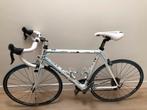 🚲 Racefiets Focus Cayo Ultegra (XL), 28 inch, Gebruikt, Carbon, Heren