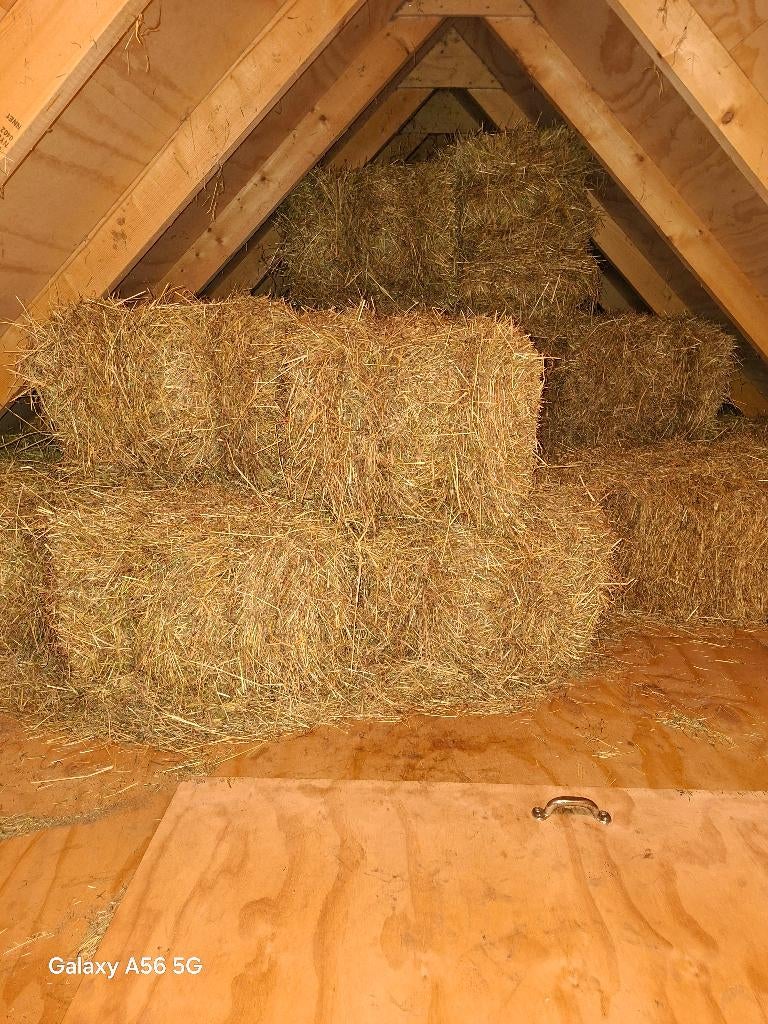 Hooi Pakjes te koop  ca 40 stuks, Dieren en Toebehoren, Dierenvoeding, Ophalen of Verzenden, Vee