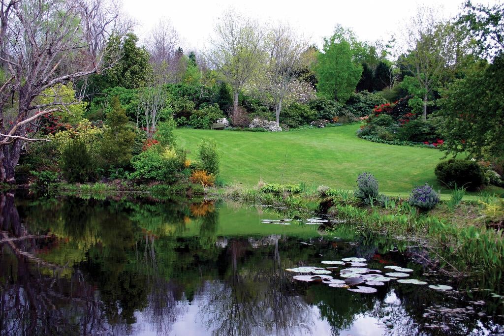Tuinposter 200 x 300 cm (h x br.), Tuin en Terras, Verzenden, Nieuw