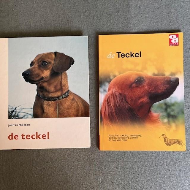 2x TECKEL boeken voor maar, Verzenden, Zo goed als nieuw, Honden