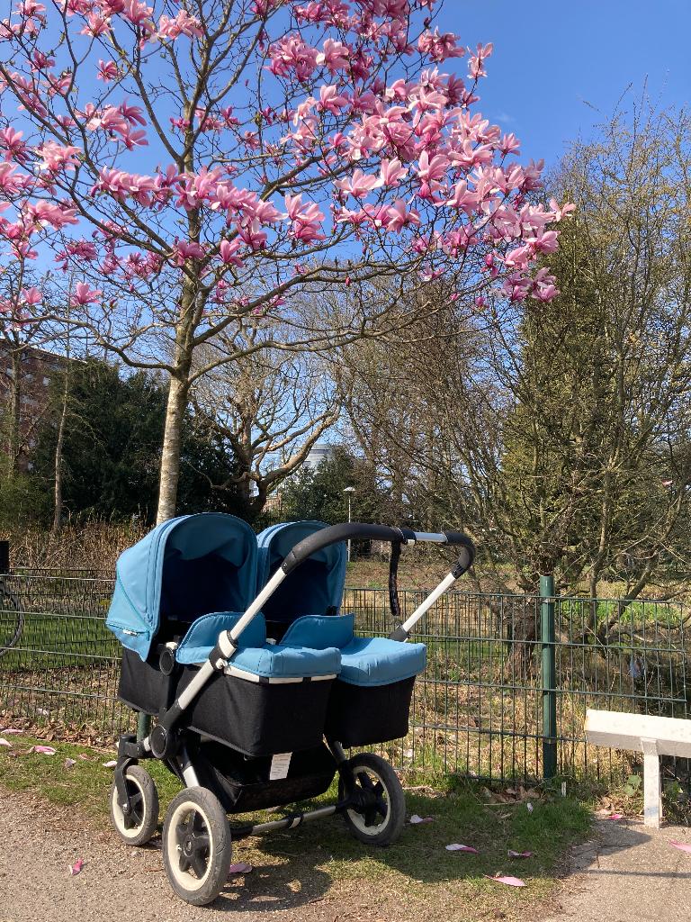 Bugaboo donkey kinderwagen, Kinderen en Baby's, Kinderwagens en Combinaties, Gebruikt, Combiwagen, Bugaboo, Duowagen, Met autostoeltje