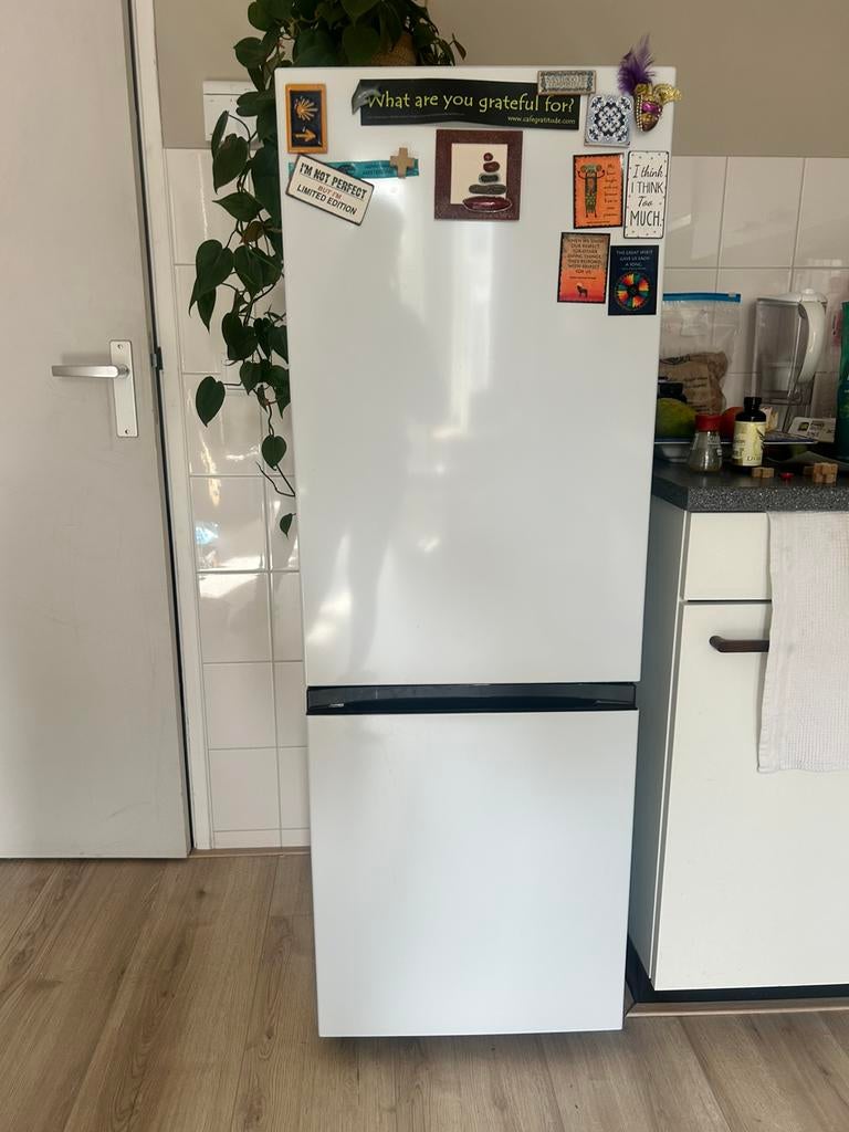 ETNA Fridge-freezer, 200 liter of meer, Zo goed als nieuw, Met vriesvak, 160 cm of meer