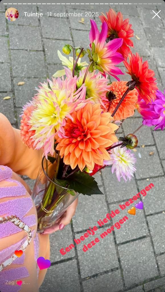 Bloemen en bloemzaadjes - dahlia’s leeuwenbek siererwt, Ophalen, Volle zon