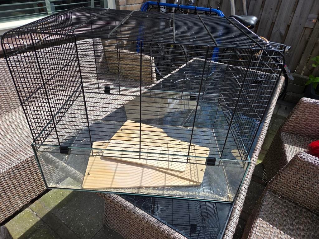 Hamster of ratten kooi, Dieren en Toebehoren, Kooi, 60 tot 90 cm, Minder dan 75 cm, Ophalen of Verzenden
