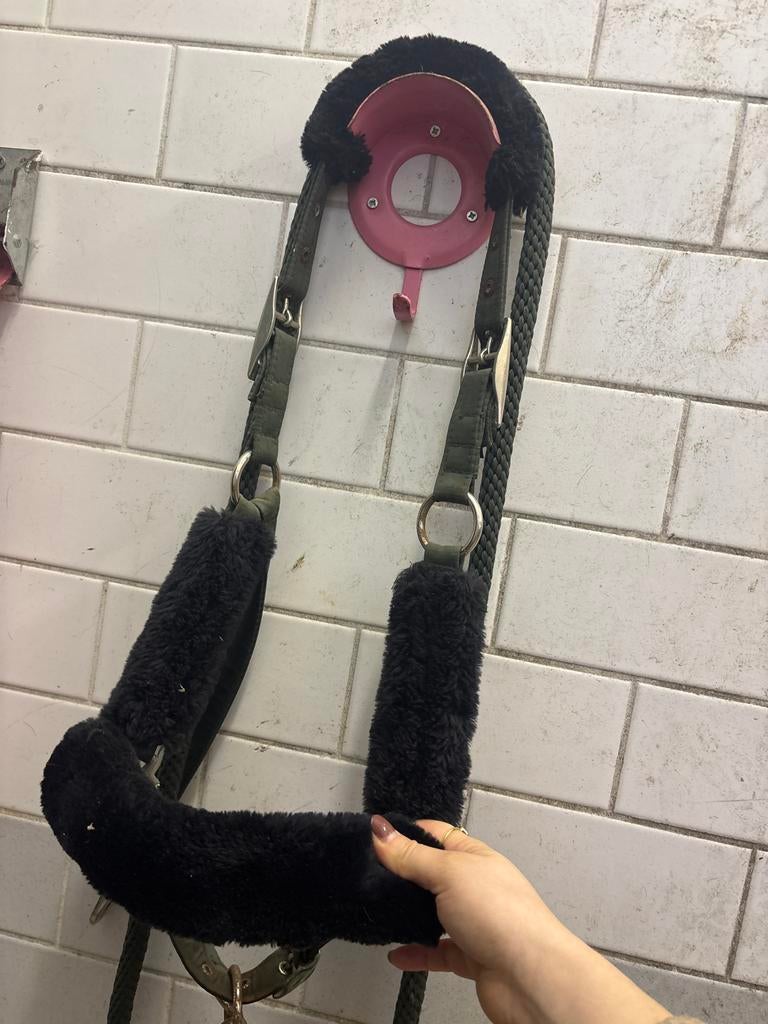 Halster - equestrian stockholm, Dieren en Toebehoren, Paarden en Pony's | Overige Paardenspullen, Ophalen of Verzenden, Overige soorten