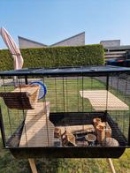 Hamster hok 20 euro alles er op en er aan, Dieren en Toebehoren, Minder dan 60 cm, Minder dan 75 cm, Ophalen of Verzenden, Hok