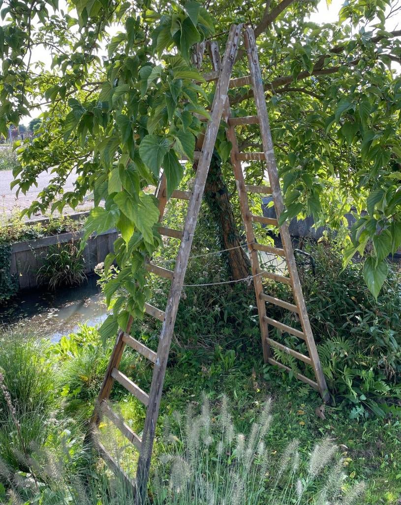 Lange houten ladder decoratief, Ophalen