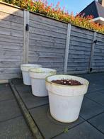 Gratis af te halen 3 grote kunststof bloempotten, Ophalen, Gebruikt, Rond, Kunststof