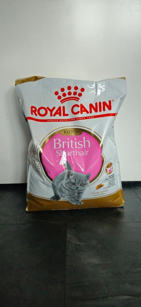 Royal Canin British Shorthair Kittenvoer, Ophalen, Kat