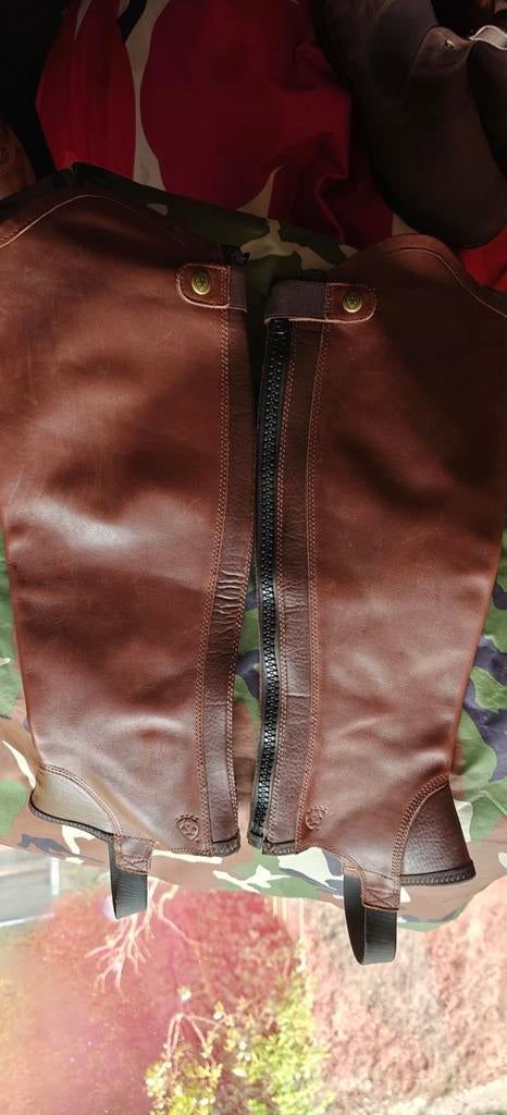 Ariat chaps, bruin, maat MT, Ophalen, Zo goed als nieuw, Schoeisel