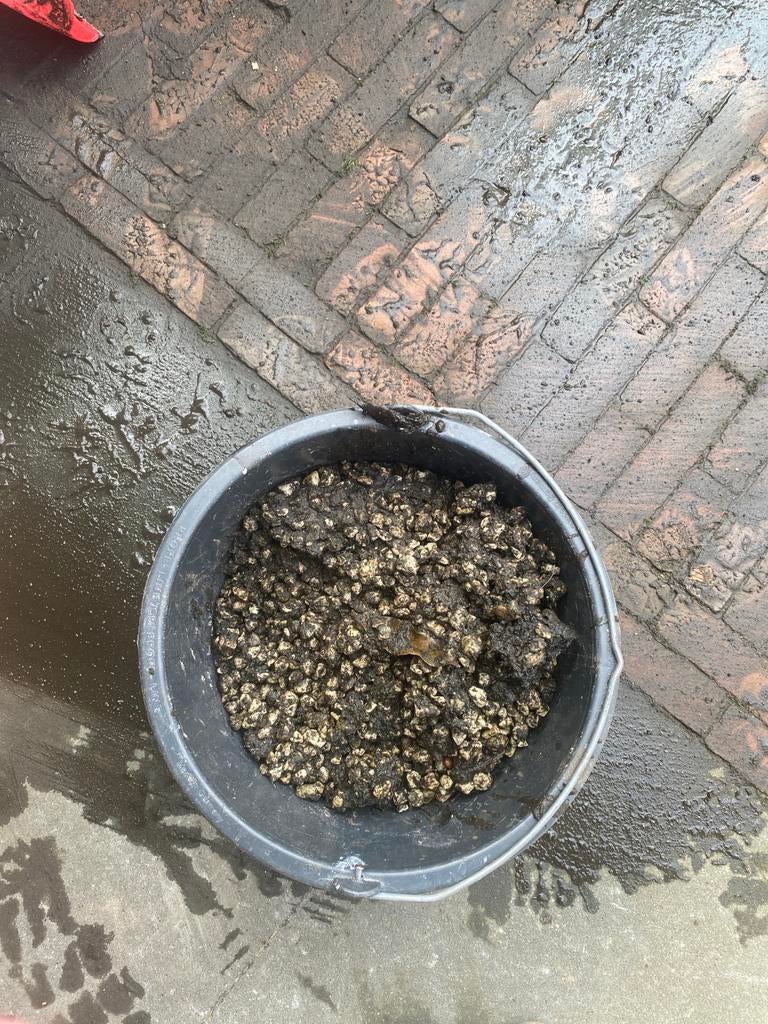 Vijver granulaat, Tuin en Terras, Vijvers, Ophalen, Gebruikt