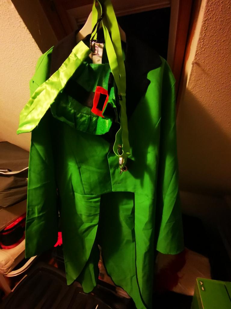 St Patrick's day outfit heren, Ophalen of Verzenden, Nieuw, Maat 48/50 (M)