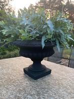 Prachtige grote oude Versailles vaas., Ophalen, Gebruikt