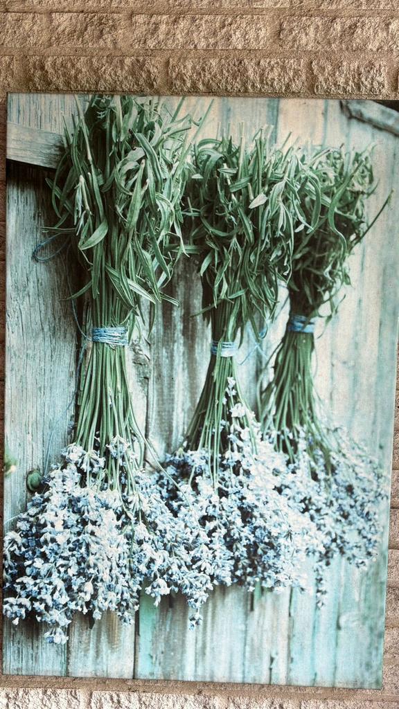 2 Schilderijen voor in de tuin - Boeddha en Lavendel, Ophalen of Verzenden, Gebruikt, Schilderij, 50 tot 75 cm