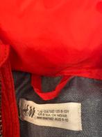 Bodywarmer, Kinderen en Baby's, Kinderkleding | Maat 140, Ophalen of Verzenden, Zo goed als nieuw, Jongen of Meisje, Overige typen