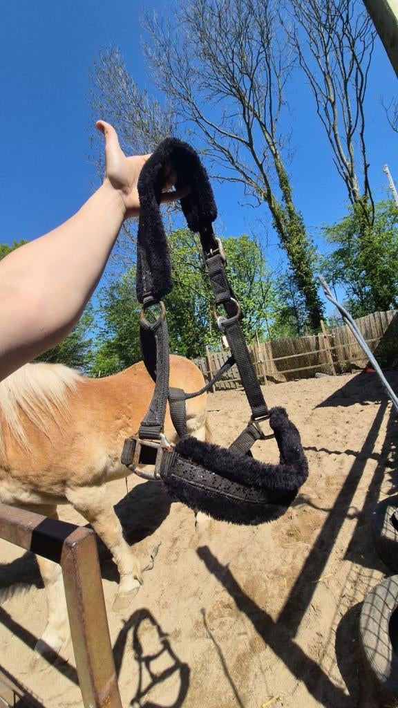 Leuk zwart glitter halster, Ophalen of Verzenden