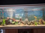 Aqualantis aquarium te koop, Ophalen, Gebruikt, Gevuld zoetwateraquarium
