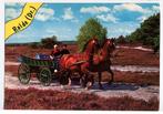 Rolde Drenthe - klederdracht paard en wagen heide 1977, Ophalen of Verzenden, 1960 tot 1980, Ongelopen, Klederdracht