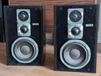 Magnat All Ribbon 7p speakers, Audio, Tv en Foto, Luidsprekers, Ophalen, Gebruikt, Magnat, 120 watt of meer
