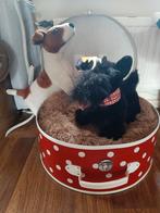 Honden of poezen mand/ koffer., Ophalen