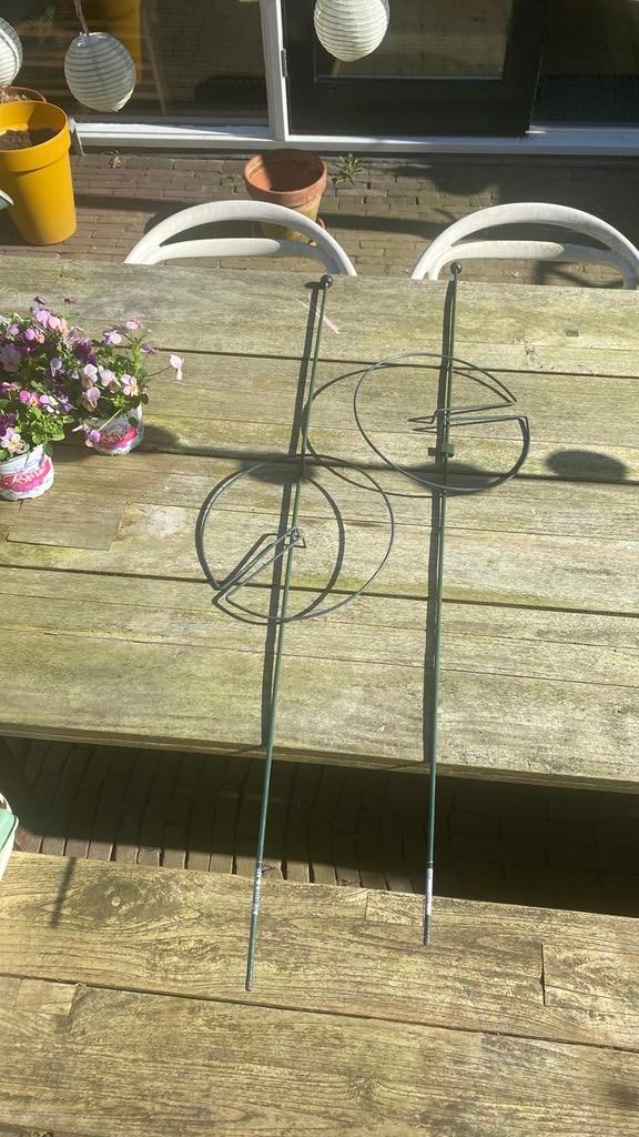 2x metalen pinnup plantensteun, Ophalen, Zo goed als nieuw