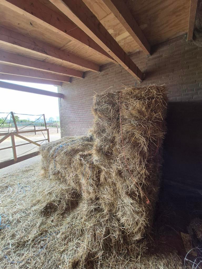 Droog onverpakt Frans hooi 20 stuks, Dieren en Toebehoren, Ophalen, Vee