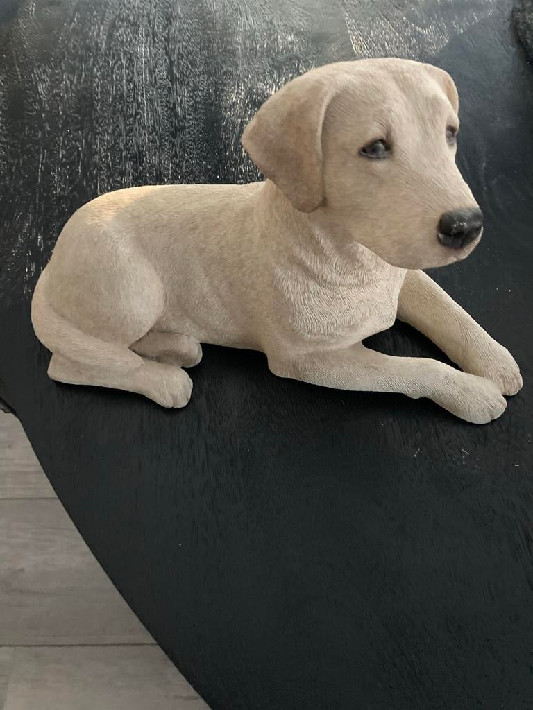 Sandicast Sandra Brue Labrador lengte 35cmModel 382, Ophalen of Verzenden, Zo goed als nieuw, Hond of Kat, Beeldje of Figuurtje