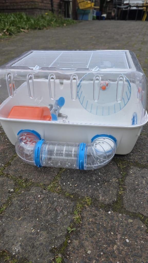 Ferplast Combi 1 Hamsterkooi - Inclusief buizen en looprad, Dieren en Toebehoren, Minder dan 60 cm, Kooi, Gebruikt, Minder dan 75 cm