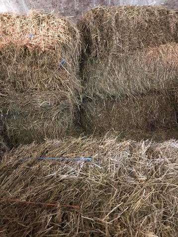 Duits kruidenhooi balen +/- 20kg, hooi, baaltjes, hooibalen beschikbaar voor biedingen