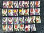 Panini 2006, Ophalen of Verzenden, Zo goed als nieuw, Buitenlandse clubs, Poster, Plaatje of Sticker
