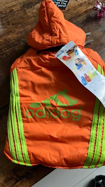 Klein hondenjasje beschikbaar voor biedingen