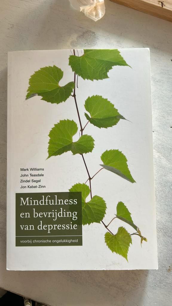 Mark Williams - Mindfulness en bevrijding van depressie, Boeken, Psychologie, Nieuw, Ophalen of Verzenden