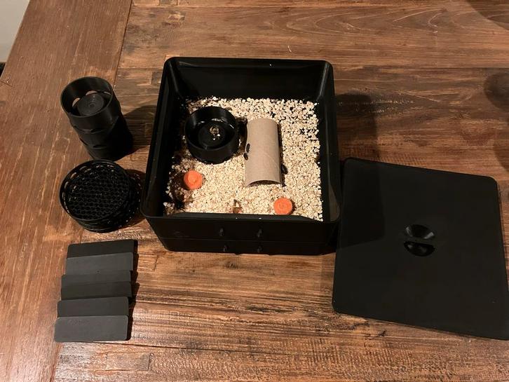 Meelwormen kweekset compleet incl. kevers en meelwormen, Dieren en Toebehoren, Reptielen en Amfibieën | Toebehoren, Nieuw, Overige typen