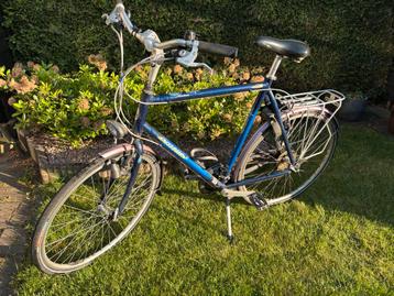 Gazelle Medeo beschikbaar voor biedingen